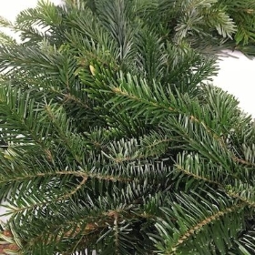 Fresh Spruce Wreath 12 Inch